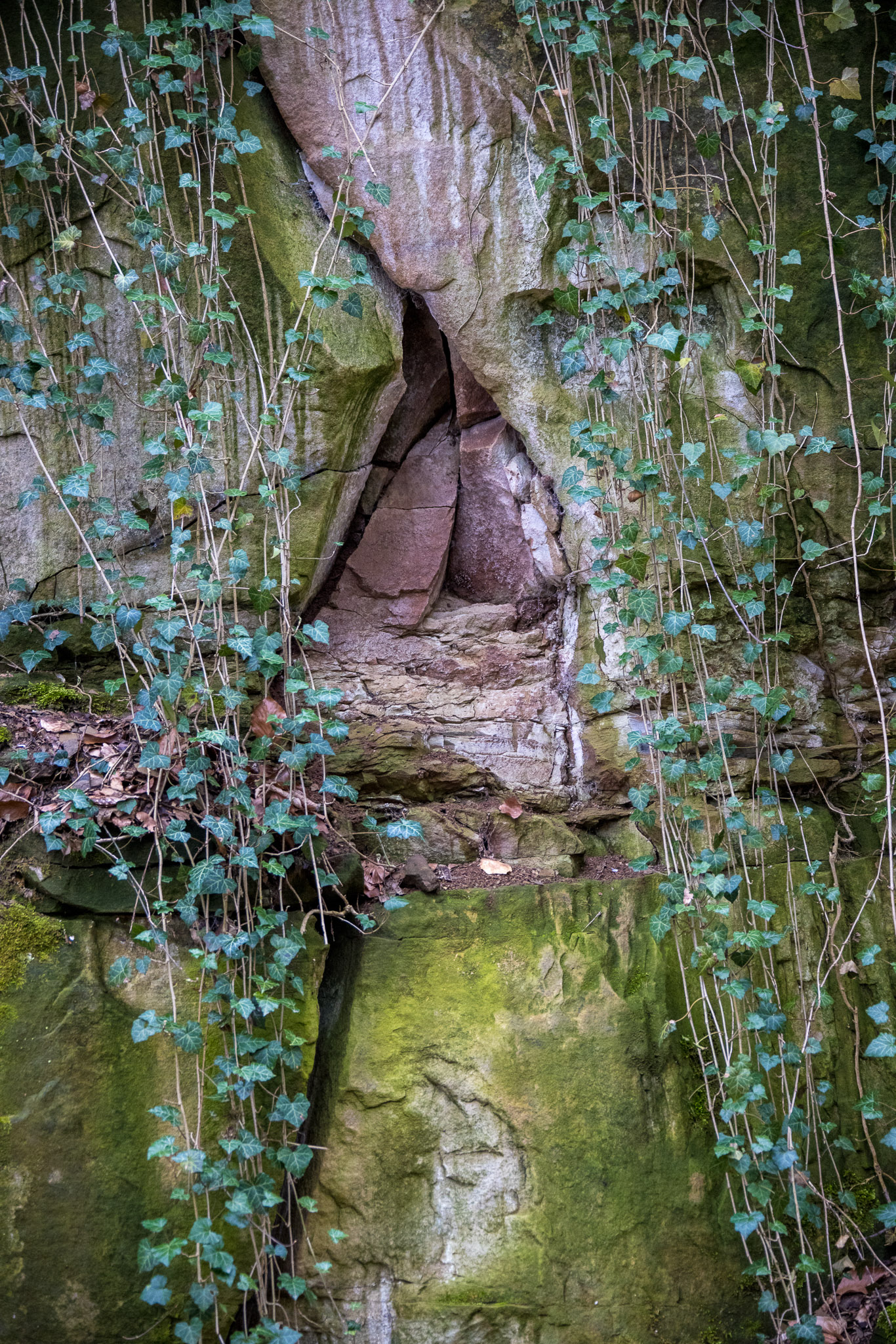 20220410112729 R5D 2025